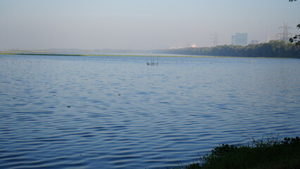 Lake and blue sunny sky. Bird standing on river or lake.