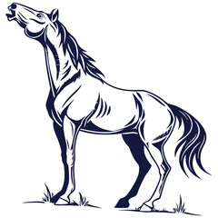 silhouette horse image on white background


