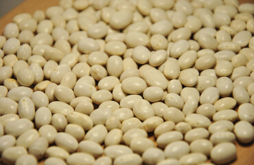 white beans background. selective focus. small white bean variety