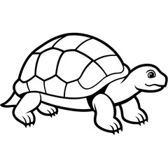 Minimalist Tortoise Line Art Vector, 