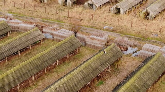 Overgrown abandoned mink farm shot, nature reclaiming industrial remains drone