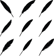 Nine Feather Silhouettes Isolated on White. Plume with Detailed Vanes Set