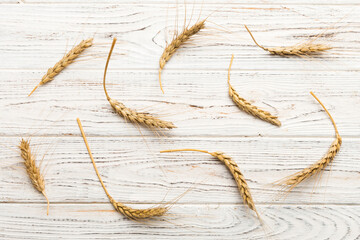 Sheaf of wheat ears close up and seeds on colored background. Natural cereal plant, harvest time...