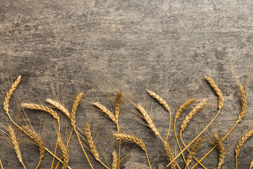 Sheaf of wheat ears close up and seeds on colored background. Natural cereal plant, harvest time...