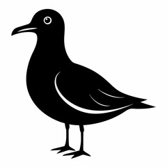 Seagull Shadow Silhouette Design