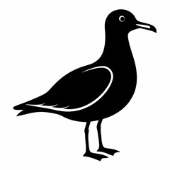 Seagull Shadow Silhouette Design