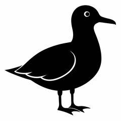 Seagull Shadow Silhouette Design