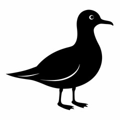 Seagull Shadow Silhouette Design