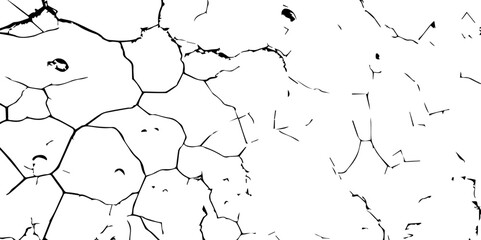 The Timeless Dance of Decay: A Deep Exploration into the Layers of Scratches, Cracks, and Worn Surfaces That Preserve the Stories of Forgotten Eras