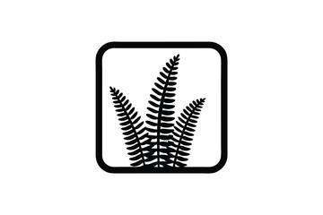 Minimalist Fern Illustration In Black And White Framed For Graphic Design And Decoration Projects