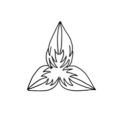 Three pointed shape black outline hand-drawn leaf logo concept.