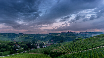 Vineyard in Piedmont landscape