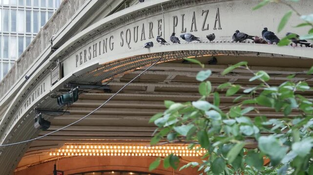 New York City Grand Central Terminal railway station, 42 street. Manhattan Midtown. Sign on bridge on Pershing Square, NYC, USA. American urban scene, United States. Pigeon birds and retro light bulbs