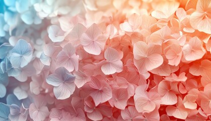 Obraz premium Beautiful pastel hydrangea flowers with a dreamy bokeh background