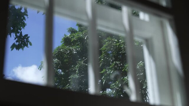 Prison Cell Window with Trees