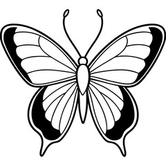Stylized Sea Butterfly Vector Outline