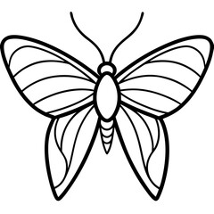 Stylized Sea Butterfly Vector Outline
