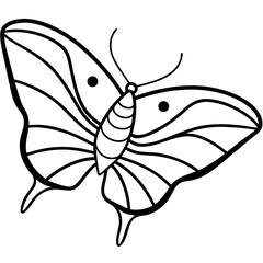 Stylized Sea Butterfly Vector Outline