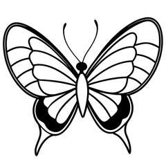 Stylized Sea Butterfly Vector Outline