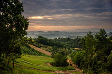 Sunrise over vineyards near Cisterna D'asti, Piedmont