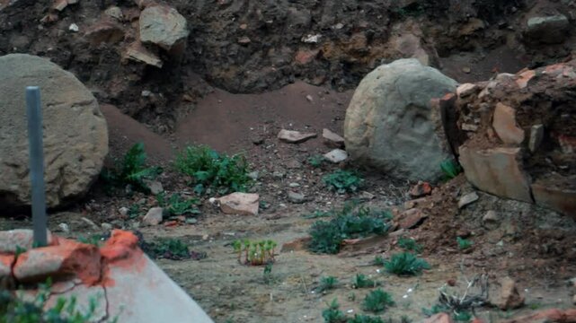 Ancient ruins. Excavations of the old city. 