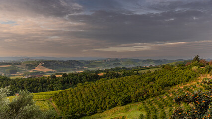 Naklejka premium Sunrise over vineyards near Cisterna D'asti, Piedmont