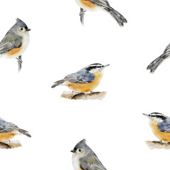 Birds seamless pattern isolated. Hand-drawn Tufted titmouse, Red-breasted nuthatch bird backdrop for fabric, packaging paper design. Repeated pattern, background