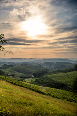 Sunrise over vineyards near Cisterna D'asti, Piedmont