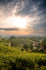 Sunrise over vineyards near Cisterna D'asti, Piedmont