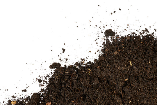 humus ground soil top view in border corner isolated on white or transparent png