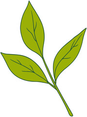 Obraz premium tea