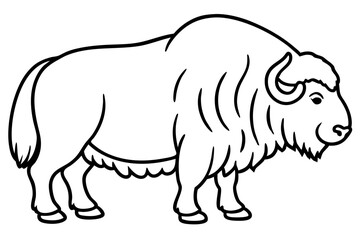 Musk Ox Elegant Linework