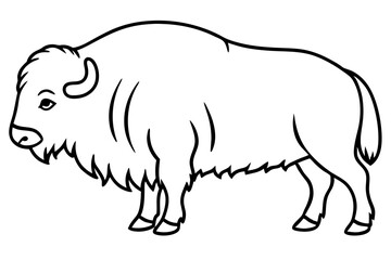 Musk Ox Elegant Linework