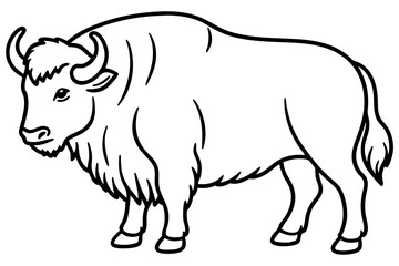 Musk Ox Elegant Linework