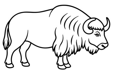 Musk Ox Elegant Linework