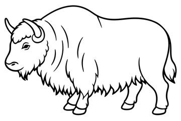Obraz premium Musk Ox Elegant Linework