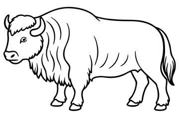 Musk Ox Elegant Linework