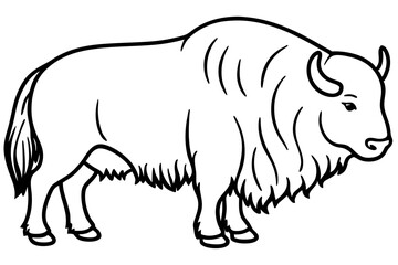 Musk Ox Elegant Linework