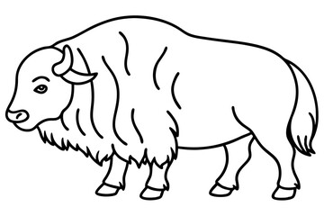 Musk Ox Elegant Linework