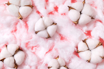 Soft pieces of organic cotton wool and cotton flowers close up. Cotton wool texture. White fluffy natural material for hygiene and medicine. Cotton background, wallpaper