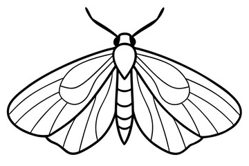 Mystic Moth Linework