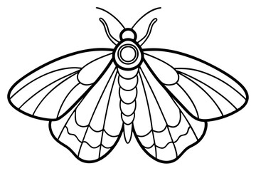 Mystic Moth Linework