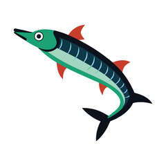 barracuda fish on white background