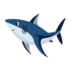 Mako shark on white background.