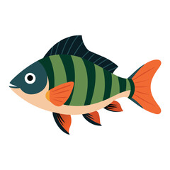  perch fish on white background