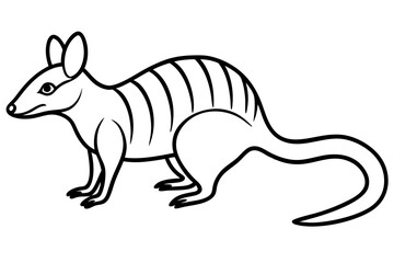 Numbat Ink Line Drawing