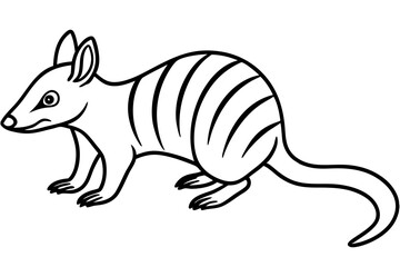 Numbat Ink Line Drawing