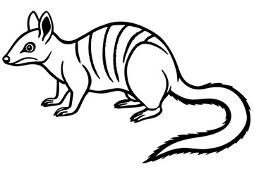 Numbat Ink Line Drawing