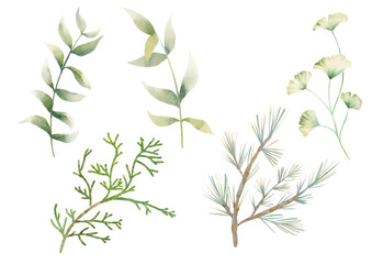 Delicate watercolor leaf clipart with hand-painted style. Perfect for cards, invitations, kids’ projects, and feminine designs.