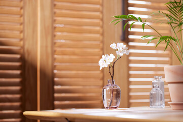 Sunlight and Shadows in a Cozy Wooden Interior.